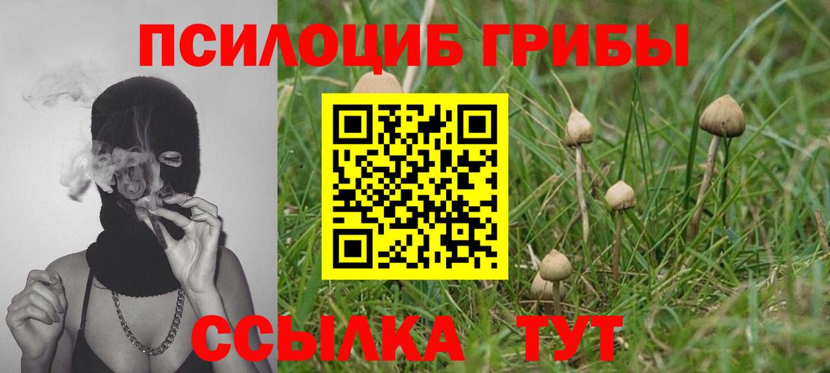 Зеленодольск  купить   Галлюциногенные грибы MAGIC MUSHROOMS  Вход с VPN  Псилоцибиновые грибы ЛСД 